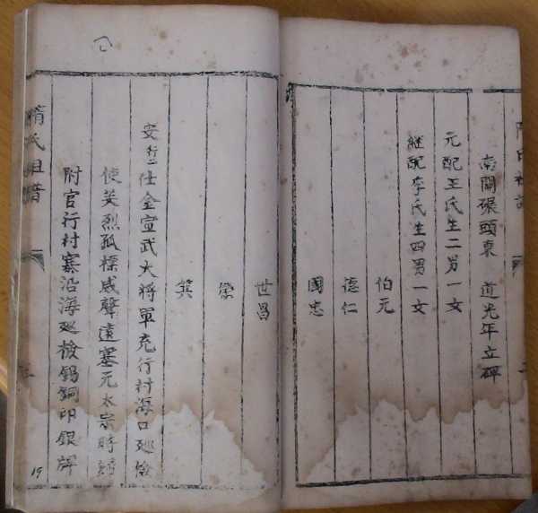 姓隋的宝宝取名字，传统与现代的结合,象征,宝宝取名,传统与现代,第1张
