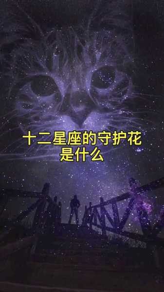 十二星座的花，花开得美不起来！,象征,十二星座,星座,第1张