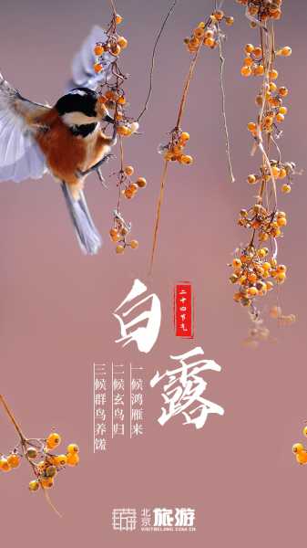白露节气，天露为贵，时至,事业,吉时,气场,第1张