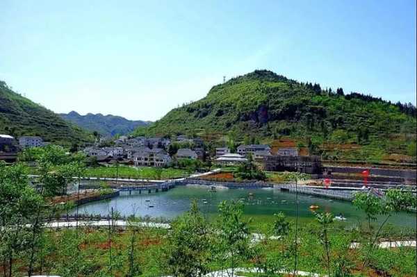 务川鲜花开业大吉时间查询指南,吉时,查询,第1张