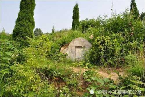 祖墓边放什么，讲究与选择建议,象征,风水布局,寓意美好,第1张