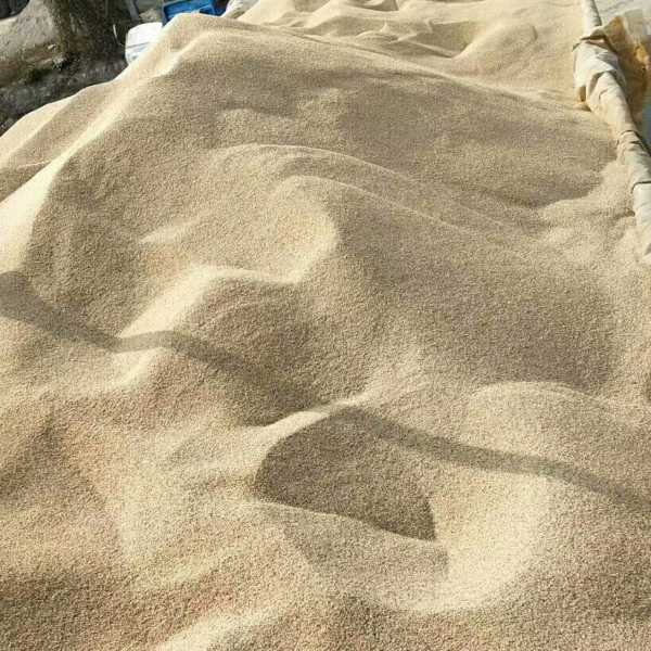 沙金12生肖运势，解读与实践,事业,能量,财运,第1张