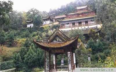 梨花坞的灵验，一场关于与现实的对话,求签,美好,自然规律,第1张