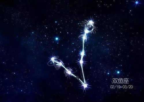 十二星座，各有千秋的腿型,挑战,十二星座,星座,第1张