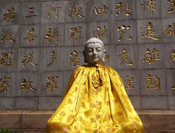 腊八节见乌鸦，预示着什么？解梦解析与生活启示,象征,挑战,解梦,第1张