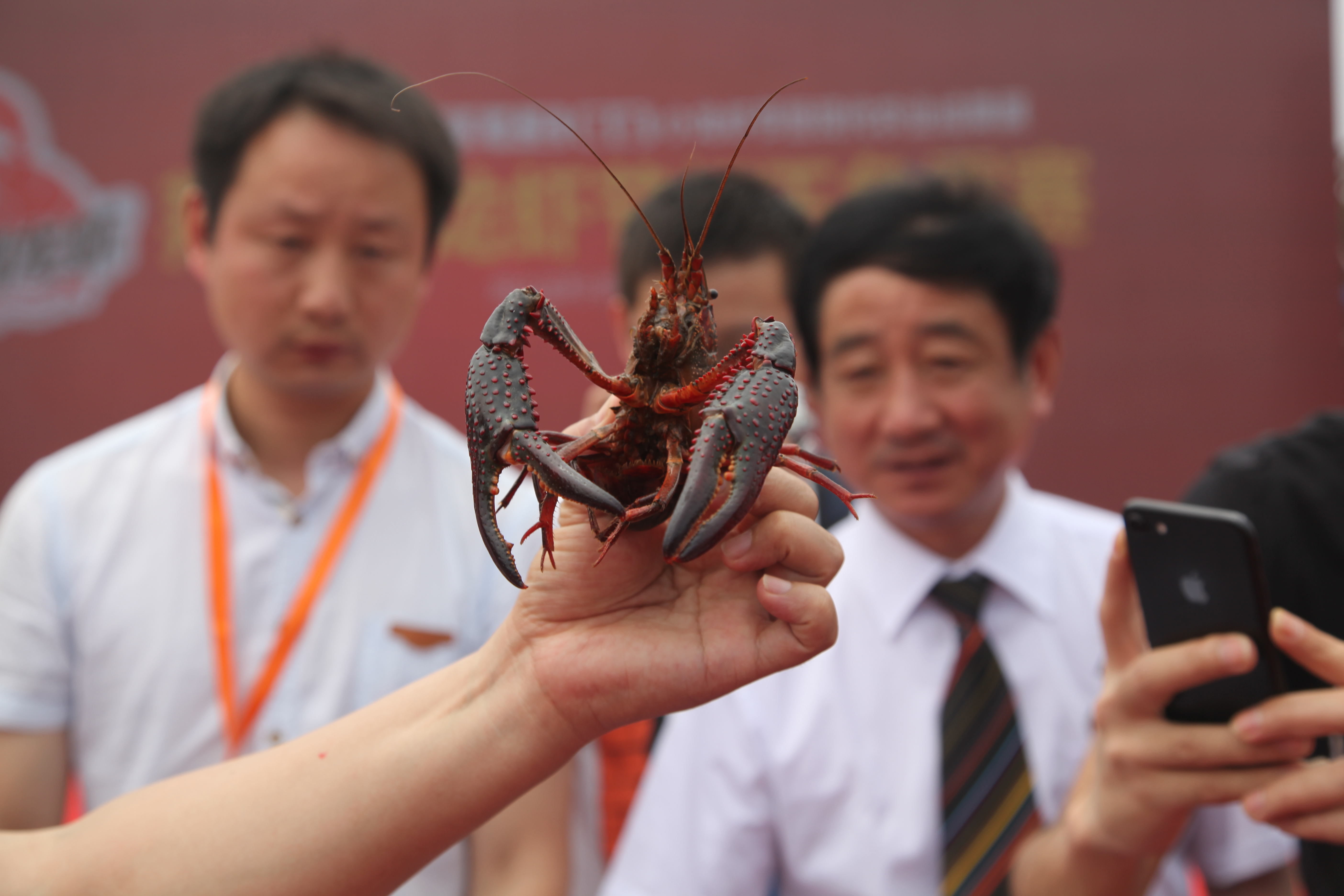什么人可以梦见龙虾呢？周公解梦,象征,事业,解梦,第1张