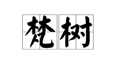 梵树，自然与人文的融合,象征,事业,气场,第1张
