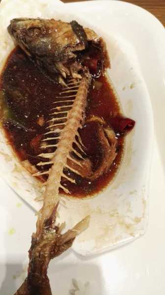 吃鱼，隐藏在食物中的,象征,事业,八字,第1张
