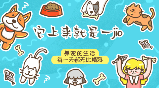 十二星座，最适合的小宠物是哪一种？,挑战,十二星座,星座,第1张