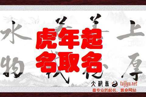 命名虎宝宝，姓罗怎么取名好听又有寓意,象征,美好,第1张