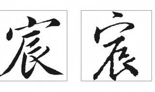 虎女宝宝取名宸字怎么取，寓意解析与选择指南,象征,宝宝取名,成功,第1张