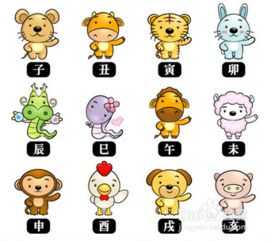 算命的人属相是什么属相？,命运,八字,算命,第1张