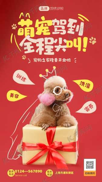 万达宠物店开业庆典举行，小动物们的新生活 beginning！,引导,装饰品,时光,第1张