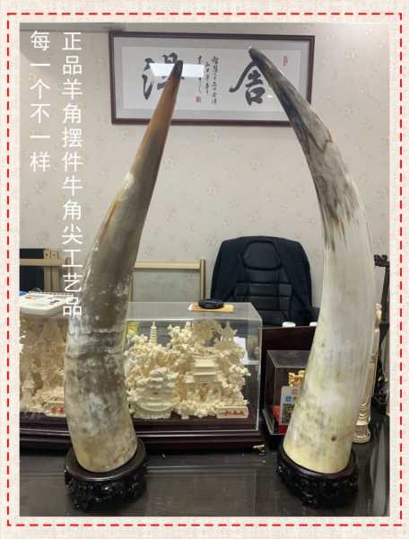 牛角辟邪，招财还是凶兆？吉凶全解析,象征,能量,吉凶,第1张