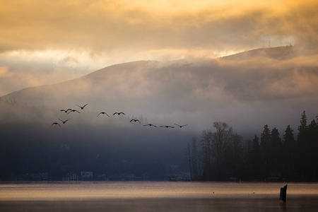 十二星座,抖音上最契合的选择,挑战,十二星座,能量,第1张 十二星座,抖音上最契合的选择,挑战,十二星座,能量,第1张