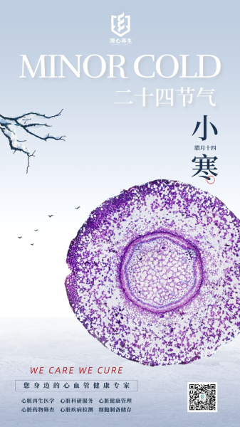 小寒节气祭祀吉时，祈福健康与平安,象征,吉时,文化传承,第1张