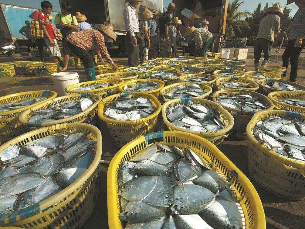 南海普萨求签，占卜智慧与现代文明的碰撞,象征,命运,挑战,第1张