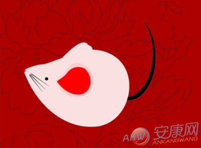 鼠年婚姻运势解析，事业与双丰收,事业,合作,自我,第1张