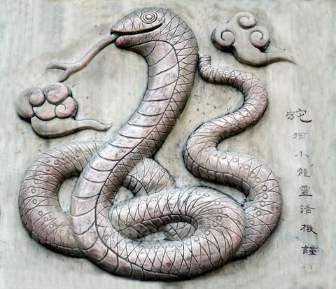 属蛇的人十二生肖运势，luck and福气的象征,象征,事业,挑战,第1张