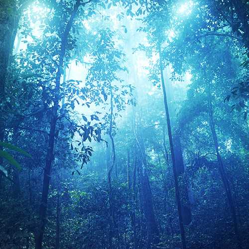 神秘的高山寨，求签图片背后的传说与文化,象征,命运,求签,第1张