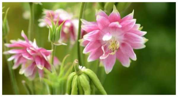 庚子年8月13日吉时，传统与现代的交汇,象征,吉时,传统与现代,第1张