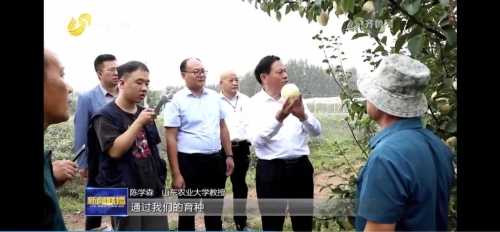 文昌吉时实业，机遇与,挑战,吉时,合作,第1张