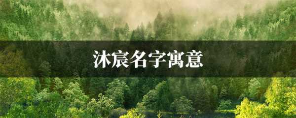 虎宝宝取名沐冉，寓意美好，寓意深刻,象征,宝宝取名,合作,第1张