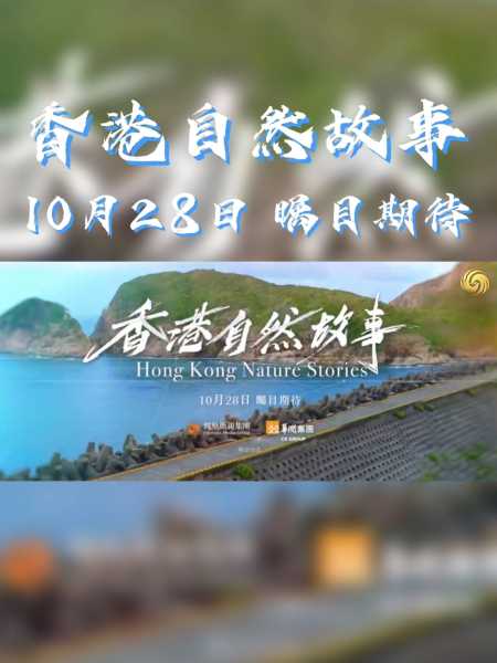 ，为什么它如此神奇且独特？,象征,风水布局,与和谐,第1张