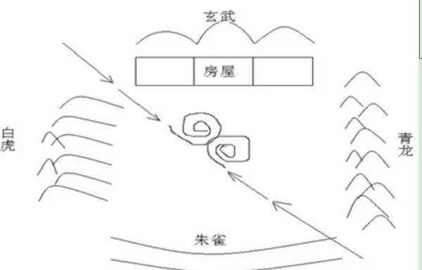 左单蹄，解读与应用,象征,命运,八字,第1张