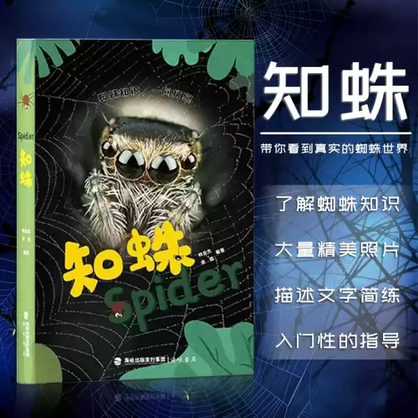 解的，解读与启示,象征,挑战,解梦,第1张