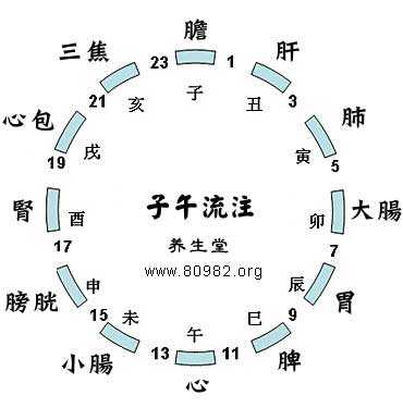 亥时鸡宝宝，传统与现代结合的命名之道,象征,传统与现代,希望,第1张