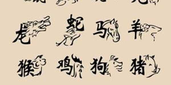 9月08日生肖运势，金牛座与双子座的交汇日,事业,合作,星座,第1张
