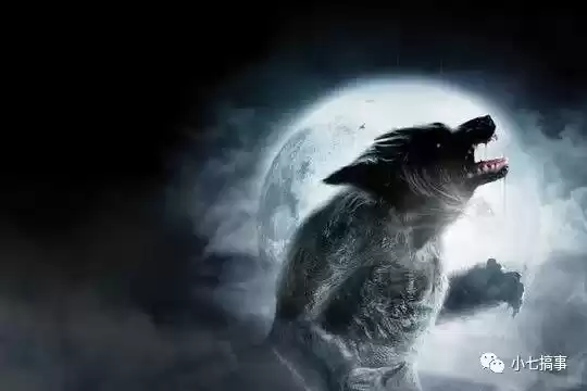 十二星座狼，解读星座背后的神秘力量,象征,挑战,十二星座,第1张