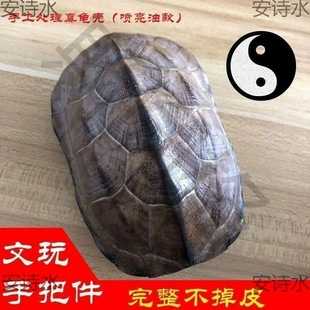 揭秘拿乌龟壳算命的古法——龟甲占卜的历史与奥秘,命运,算命,吉凶,第1张