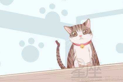 揭秘下午梦到猫的预兆,周公解梦带你解读神秘梦境,象征,事业,挑战,第1张 揭秘下午梦到猫的预兆,周公解梦带你解读神秘梦境,象征,事业,挑战,第1张