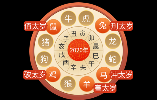 生肖蛇流年运势解析，如何在2024年找到属于自己的幸福,象征,事业,挑战,第1张