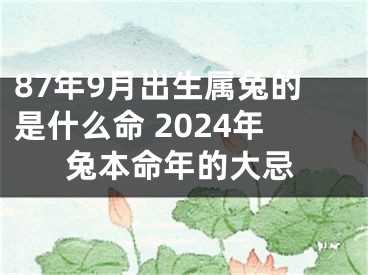 87算命什么时候有孩子，算命孩子时间的科学与艺术,命运,挑战,八字,第1张