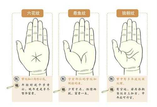 手掌横纹，吉凶的科学依据与实践,命运,吉凶,健康状况,第1张