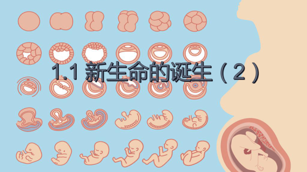 21号生娃吉时，科学解读与注意事项,吉时,注意事项,第1张