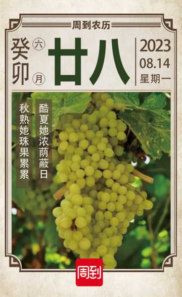 品味吉时，公历8月26日的意义,象征,吉时,吉凶,第1张