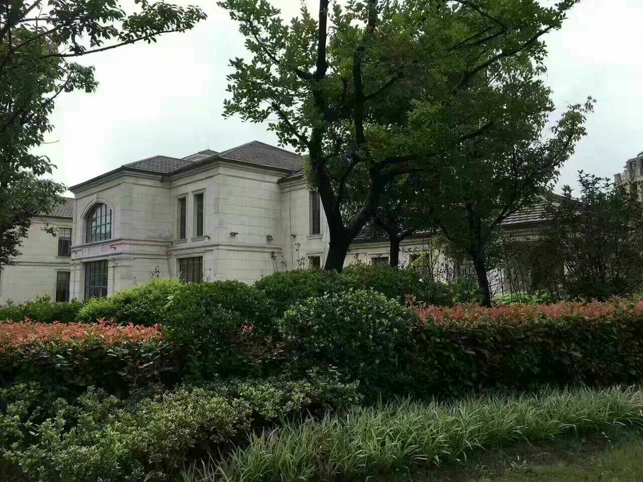 开福寺，香火中的不求签之谜,象征,文化传承,求签,第1张