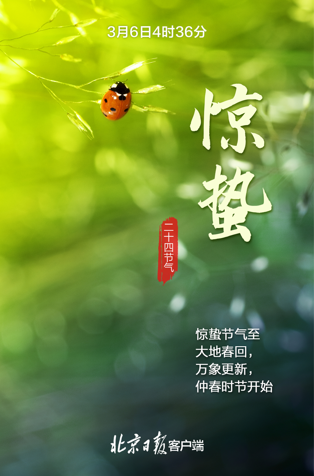 惊蛰之日，生肖牛运势解析，花开，牛气正浓,象征,挑战,合作,第1张