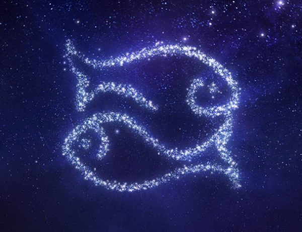 十二星座之十二双鱼座，21天的温柔与浪漫,象征,事业,十二星座,第1张