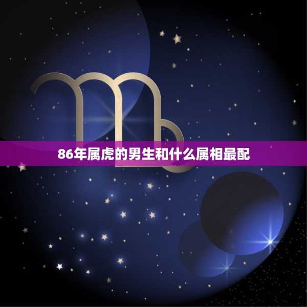 86年生肖虎座运势解析，性格与未来规划,象征,事业,挑战,第1张