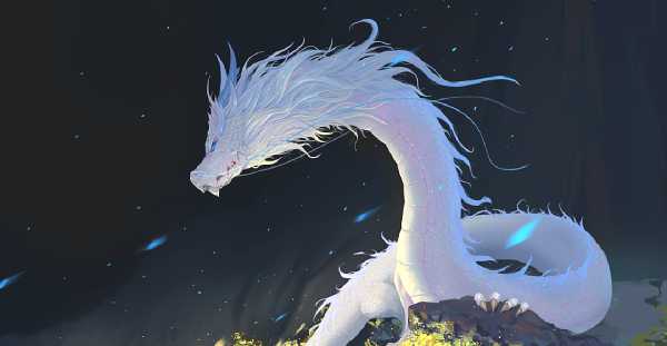 白龙寺求签图片，全集，典藏珍宝,象征,事业,求签,第1张
