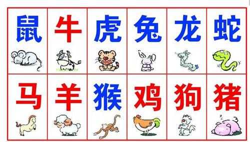 星座运势与生肖马配对，解读天命之数,象征,命运,星座,第1张