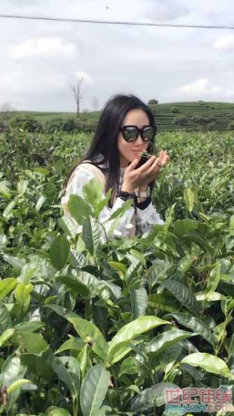 毛性女宝宝取名，传统与现代的结合,象征,挑战,宝宝取名,第1张