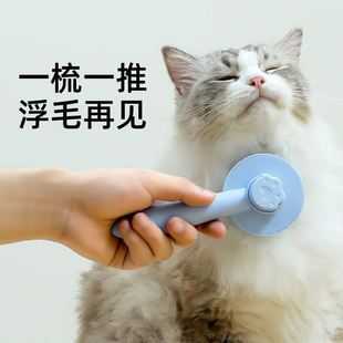 猫刮梳子，吉凶的神秘方法,象征,能量,吉凶,第1张