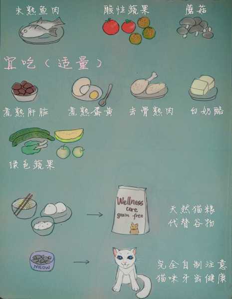 梦见给猫吃什么，预兆与解梦解析,象征,挑战,解梦,第1张