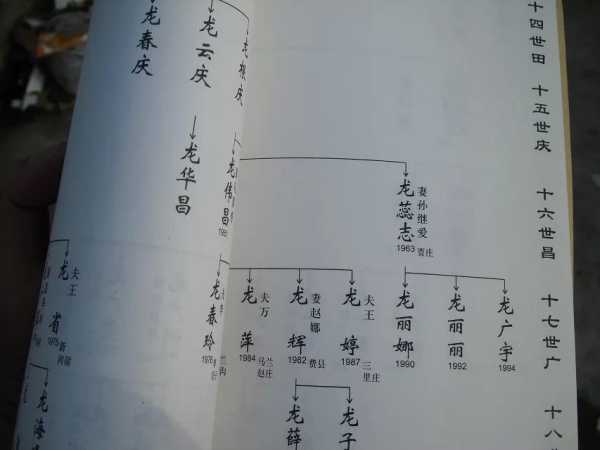 姓华的龙宝宝，传统与现代的取名之道,象征,宝宝取名,希望,第1张